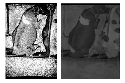 Kinect studio in Infrared and surface with Normal image mode